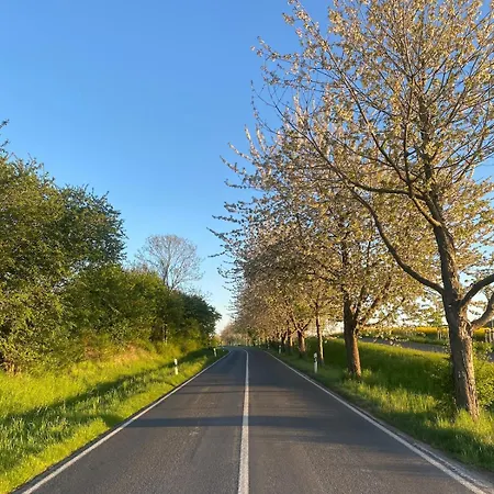 A Short Break On Germany's Largest Island *